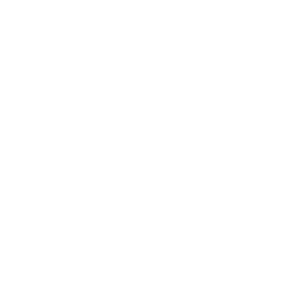 Zollywood Industries